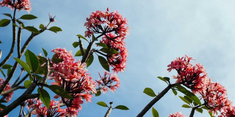 港哥山56：探索特色食品与干货批发的调味品新地标