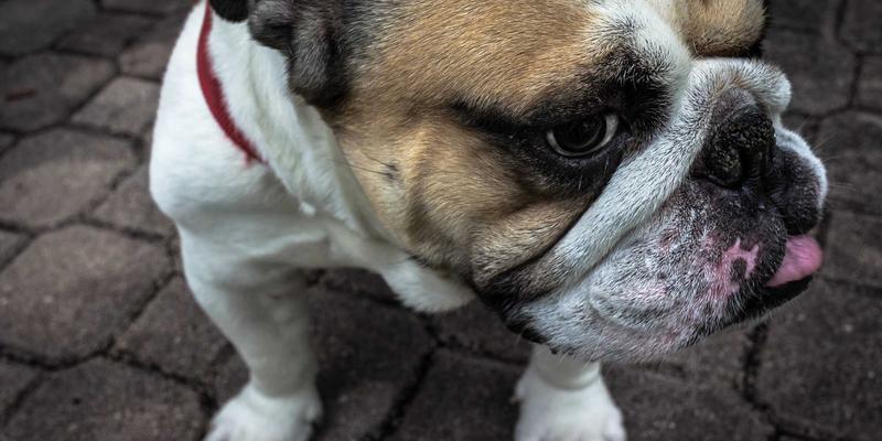 港哥山7:调味品批发市场中的地方特产明珠