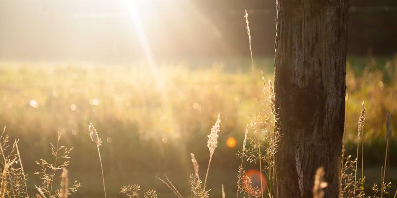 港哥山88:探秘地方特产零食的批发宝藏