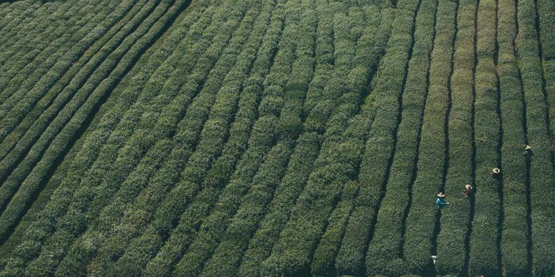 港哥山94：一站式调味品与零食批发新地标，地方特产的黄金枢纽