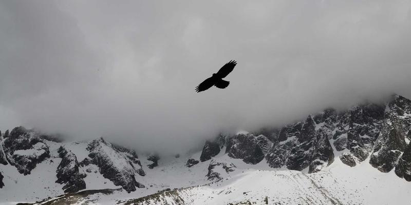 港哥山97：特色食品与干货批发的宝藏集散地