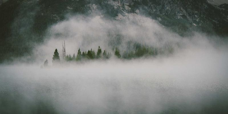 港哥山云雾茶种植园深度体验与采购攻略：连接地方特产与食品批发的商业机遇