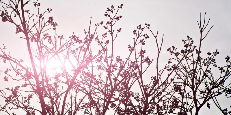 港哥山周边特色手工艺品：传统技艺与现代设计的融合，赋能调味品与零食批发新商机