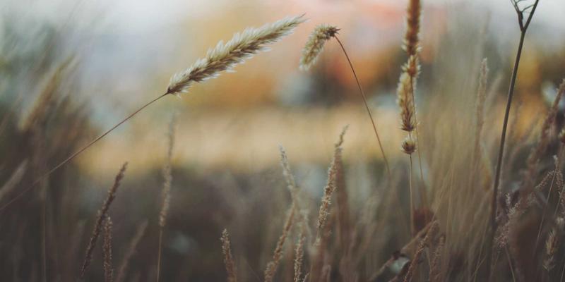 港哥山地质奇观与地貌演变：探秘亿万年自然馈赠下的特色食品与干货批发源头