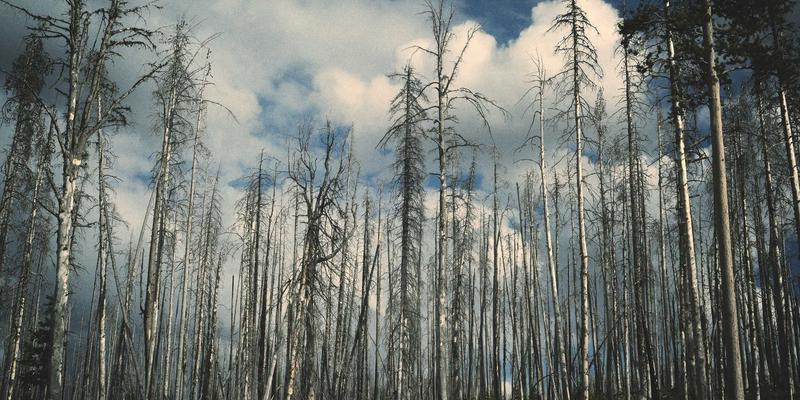 港哥山季节性气候特征分析：对特色食品产业与旅游经济的双重影响