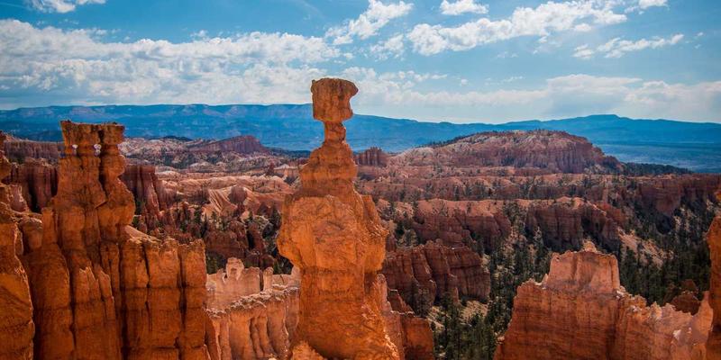 港哥山季节性野菜采摘与地方美食烹饪指南：从山野到餐桌的特色食品转化