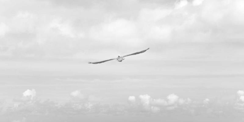 港哥山徒步攻略：路线难度分级与体能训练建议，附特色食品补给指南