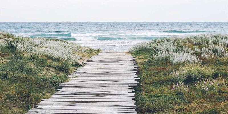 港哥山攻略：一站式食品与干货批发采购全指南