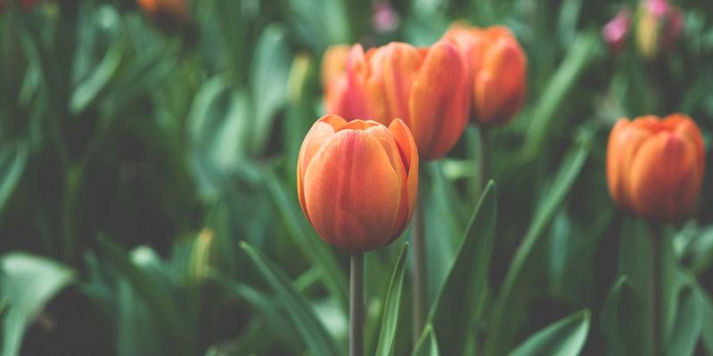 港哥山民宿体验报告：从特色山居到在地食品批发的味觉之旅