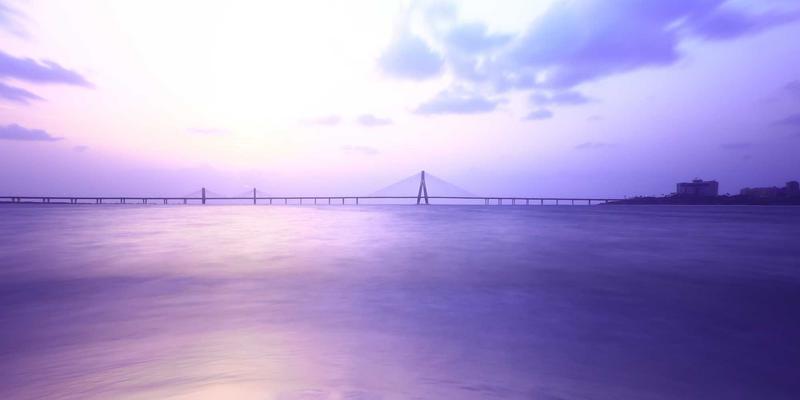 港哥山特色植物精油提取与手工皂制作体验：从地方特产到干货批发的商机探索